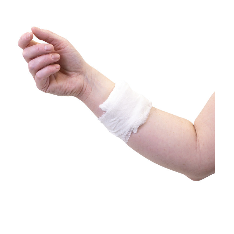 FAC Wound Dressing No.13 Small
