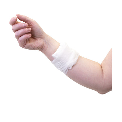 FAC Wound Dressing No.13 Small